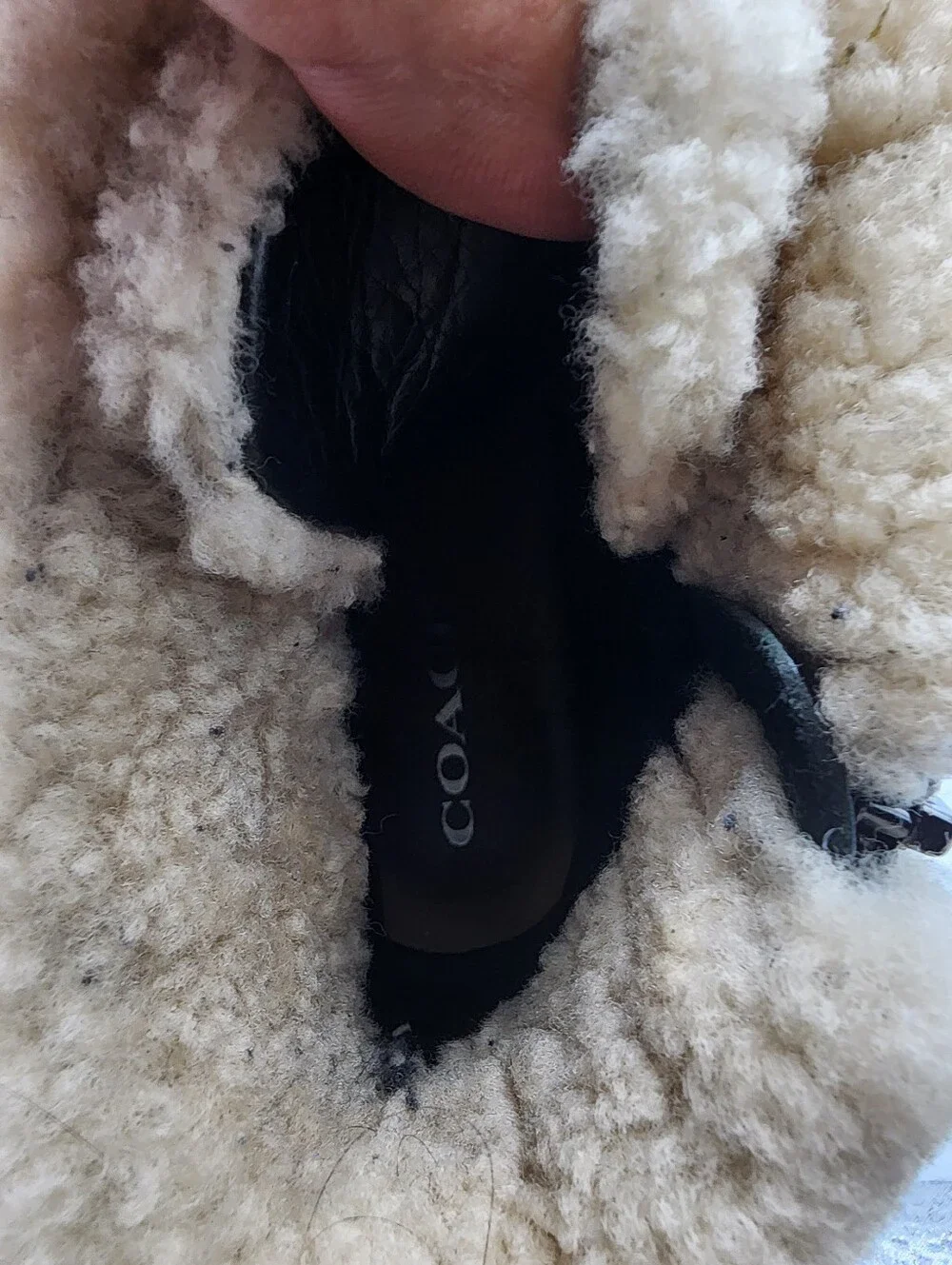 Coach Preston Black Shearling-Trim Leather Ankle Boots